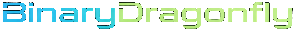 Binary Dragonfly Banner